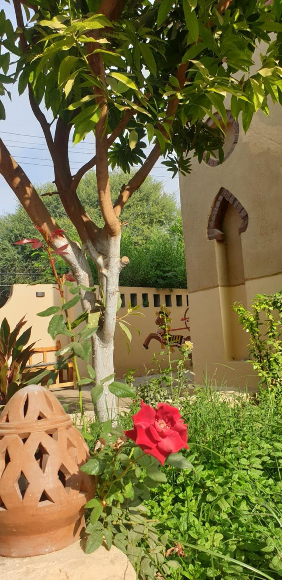 Luxor Villa Hatshepsut Exterior photo